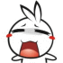 rabbit_24 이모티콘