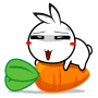 rabbit_35 이모티콘
