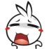 rabbit_37 이모티콘